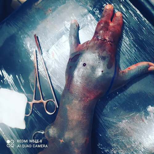 347780924_1278765976398377_4671801307107934902_n