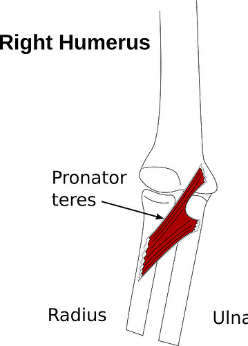 output-onlinepngtools